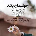 abas_s8655
