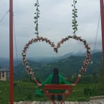 gulerzeynepasar