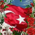 hanifi.topcu.750