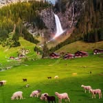 seyahat.listesi